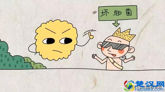 益生元和益生菌是什么关系？【食品有意思】