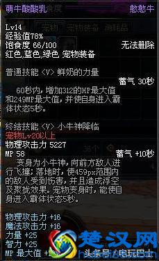 DNF能交易的宠物推荐 价格便宜非常适合小号