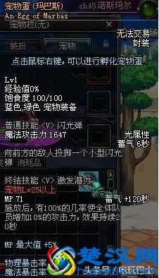 DNF能交易的宠物推荐 价格便宜非常适合小号