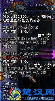 DNF能交易的宠物推荐 价格便宜非常适合小号