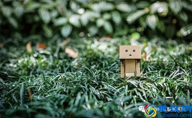 总是感到压力大，该怎么办？