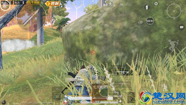 你知道伏地魔的由来吗？有了这些技巧，再也不怕伏地魔的偷袭了！