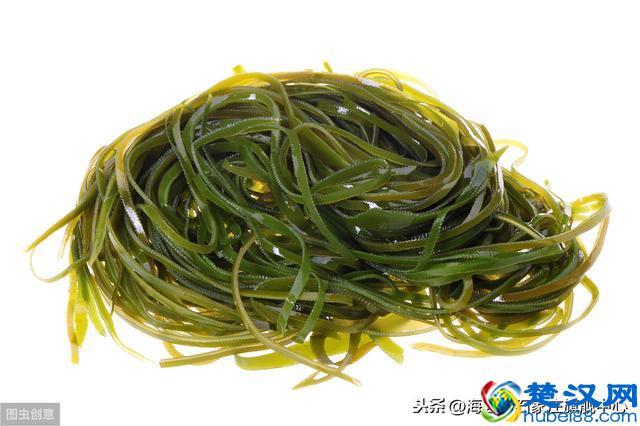 老人强健骨骼补钙就够了？老人补钙吃什么好？