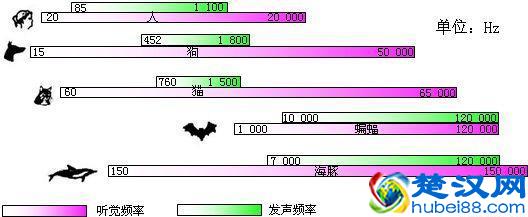 全民k歌学会这些调音技巧，不愁没有SSS，歌声好听，粉丝暴增