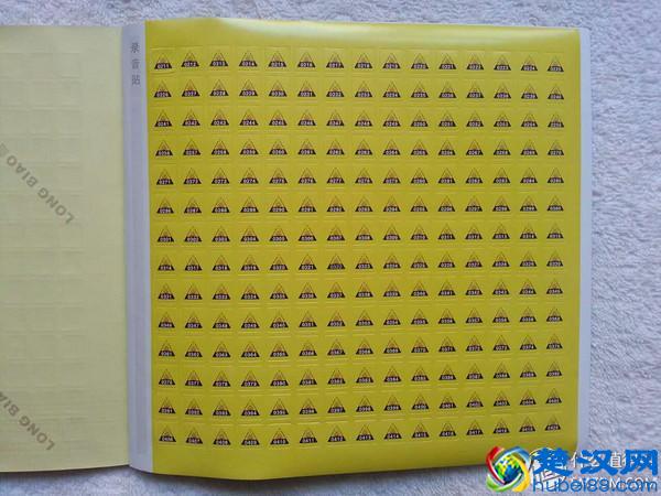 英语启蒙小帮手——点读笔