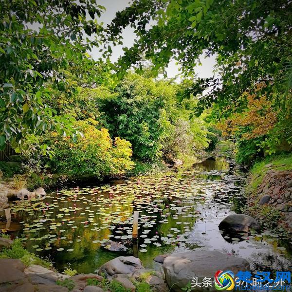 湛江的魅力，不仅仅是海鲜，还有不得不说的美景