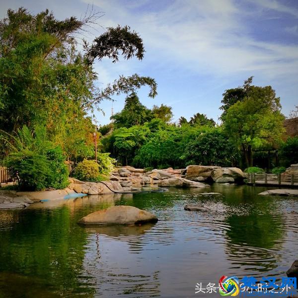 湛江的魅力，不仅仅是海鲜，还有不得不说的美景