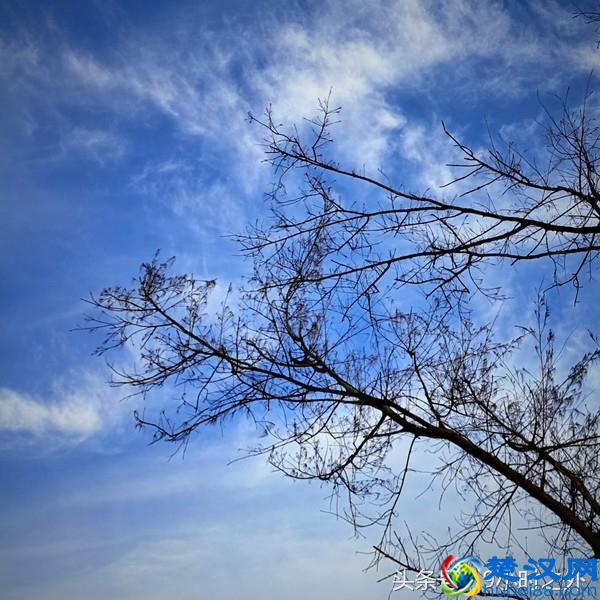 湛江的魅力，不仅仅是海鲜，还有不得不说的美景