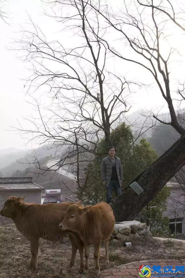 《一位博士生的返乡笔记》王磊光：乡愁是一种侨寓的情感