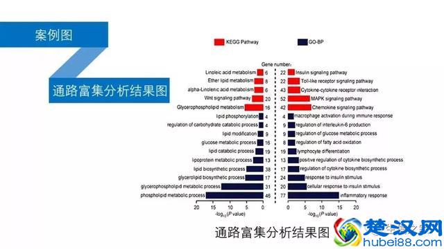教你如何运用现有数据库与工具挖掘有价值的高通量生信数据