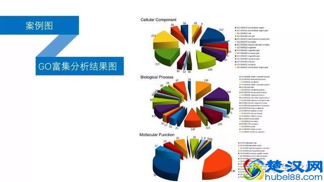 教你如何运用现有数据库与工具挖掘有价值的高通量生信数据