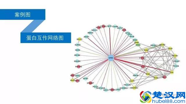 教你如何运用现有数据库与工具挖掘有价值的高通量生信数据
