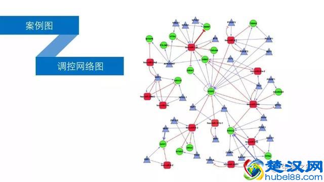 教你如何运用现有数据库与工具挖掘有价值的高通量生信数据