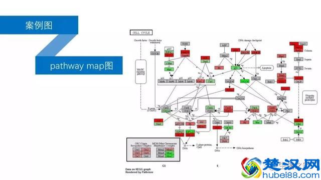 教你如何运用现有数据库与工具挖掘有价值的高通量生信数据