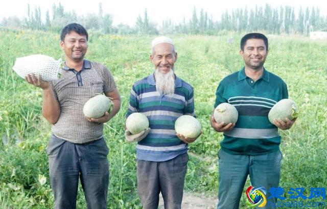 天猫淘宝成农产品销售主阵地，占市场份额75%，是拼多多43倍