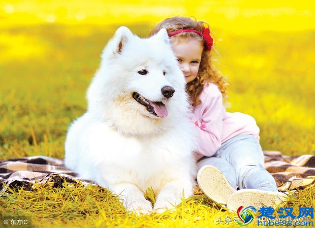 教会孩子们责任感的重要性，如果想要一些东西就要付出时间和心血