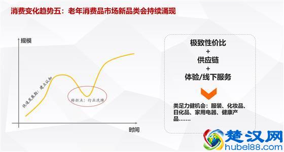 深度分享：解读中国老年消费市场最新趋势/机会