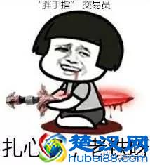 拿什么拯救你？我的“胖手指”