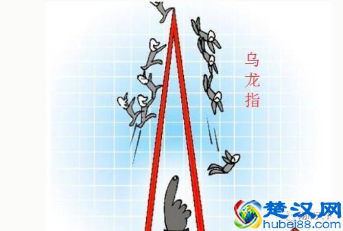 拿什么拯救你？我的“胖手指”