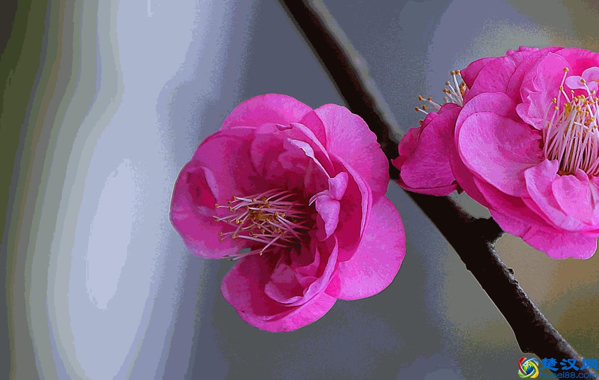 PDF如何转换成图片格式，这三种方法超级有效