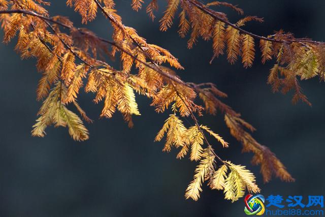 写作方法｜8种应用文的写作方法及注意事项