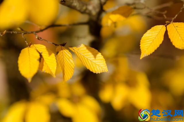 写作方法｜8种应用文的写作方法及注意事项