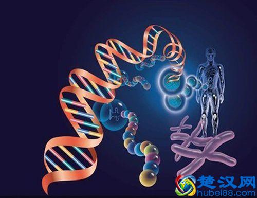 脚出汗是什么原因