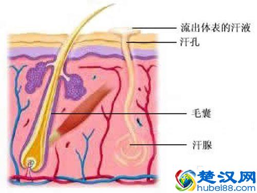脚出汗是什么原因