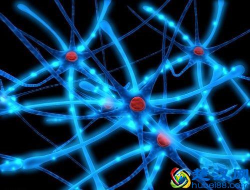 脚出汗是什么原因