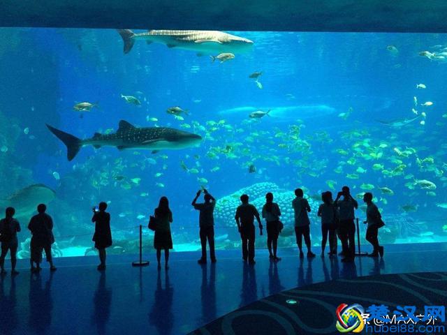 国内口碑最好的10个景点，便宜好玩不踩坑！