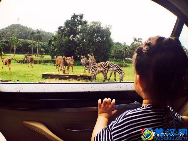 国内口碑最好的10个景点，便宜好玩不踩坑！