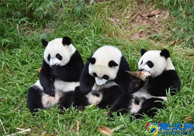 国内口碑最好的10个景点，便宜好玩不踩坑！