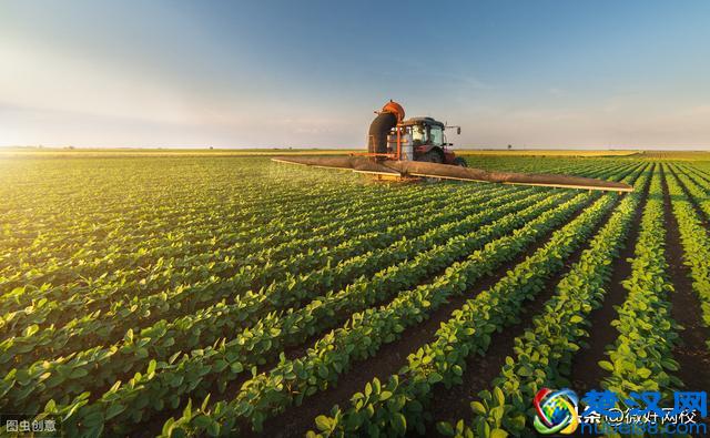 2019十大热门专业就业前景