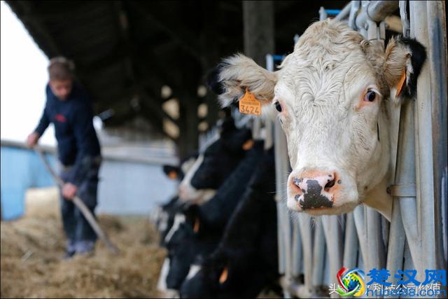 乔布斯后为何他是苹果CEO：7年前备受质疑，如今成就万亿美元市值