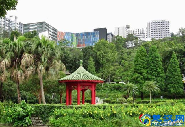 香港中文大学（The Chinese University of Hong Kong）