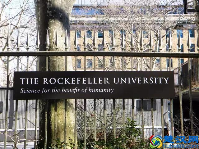 洛克菲勒大学:全球学术影响力第一的大学