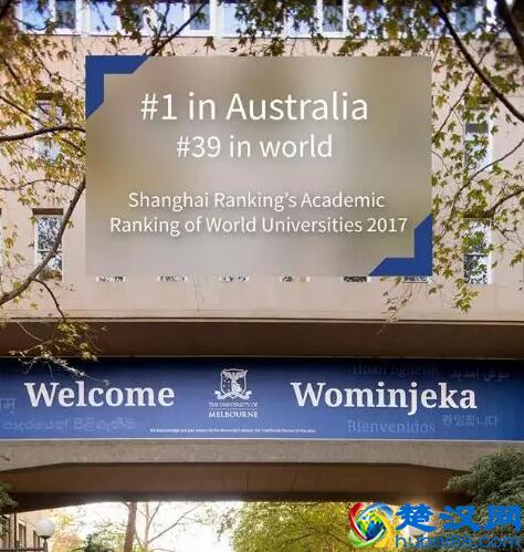 最适合留学的澳大利亚大学？我实名推荐这10所！