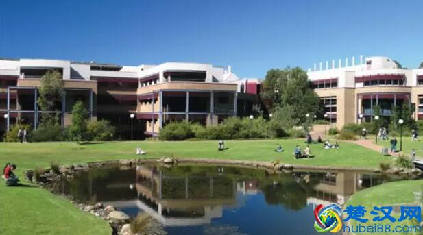 最适合留学的澳大利亚大学？我实名推荐这10所！