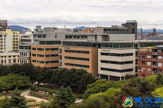 你不了解的加拿大名校：魁北克大学