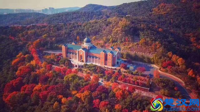 2019韩国启明大学本科学费和奖学金-韩国留学费用