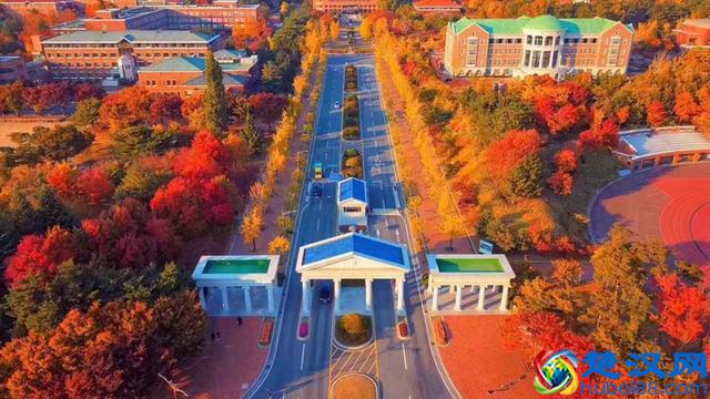 2019韩国启明大学本科学费和奖学金-韩国留学费用