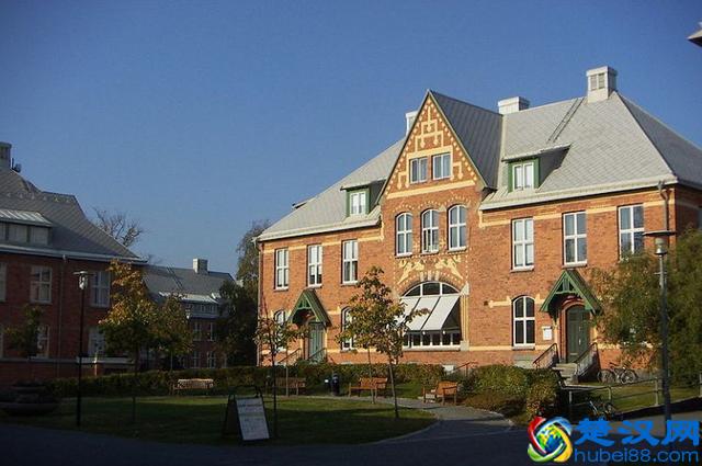 国外大学科普攻略｜你不知道的斯德哥尔摩大学……