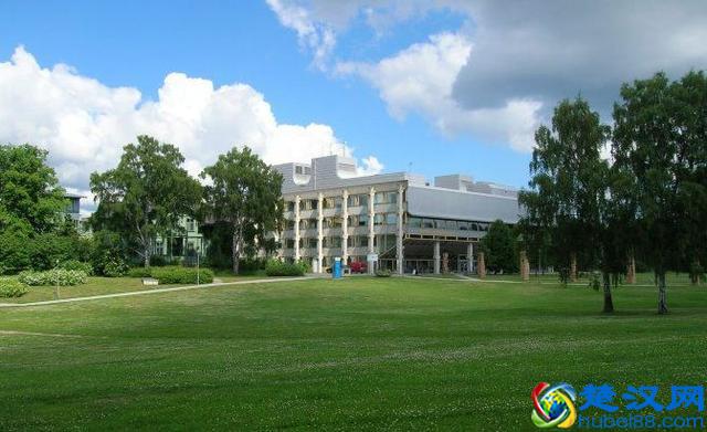 国外大学科普攻略｜你不知道的斯德哥尔摩大学……