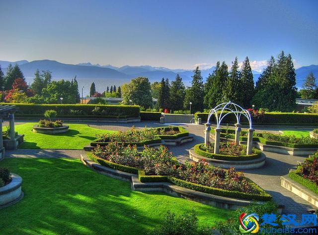 走进加拿大英属哥伦比亚大学，走进北美最美的校园！