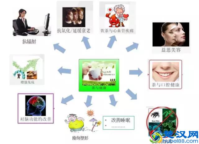 喝了这么多茶，茶多酚到底是什么？