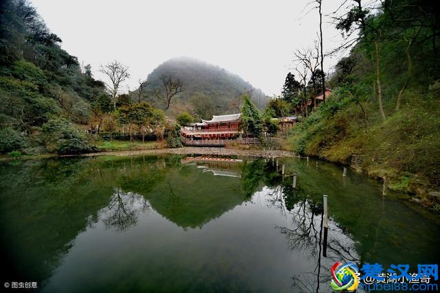 鱼苗的食性与生长特点，看完你就会对鱼苗的生长过程有所了解