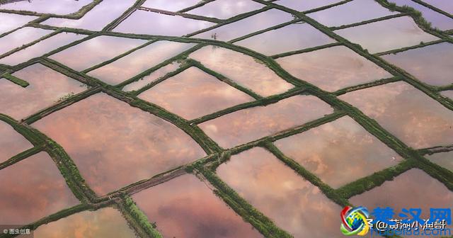 鱼苗的食性与生长特点，看完你就会对鱼苗的生长过程有所了解