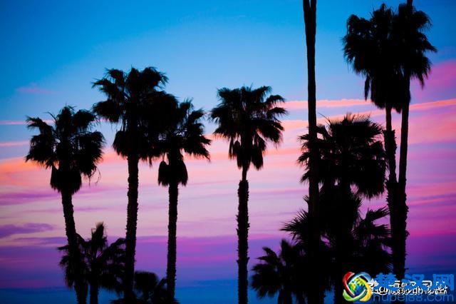 教你用单反拍出剪影效果照片