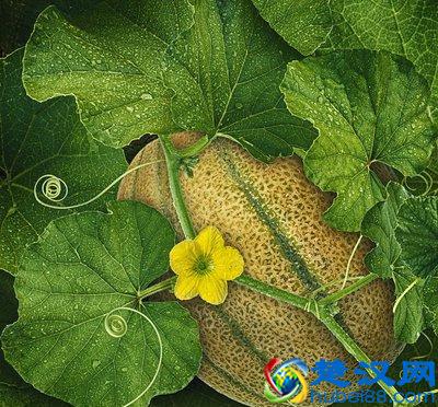 吃香瓜连皮一起啃，含有维生素C、B，消化性溃疡患者不适合吃