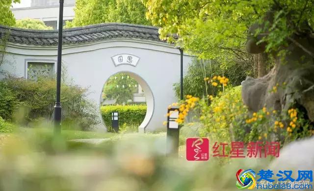 宁波诺丁汉大学：每年近10万的学杂费，精英的游戏？